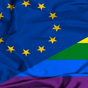 Elezioni Europee 2019 – la guida per il voto arcobaleno